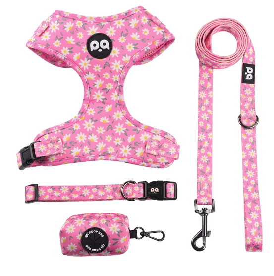 Breathable Dog Harness and Leash Set for Pets