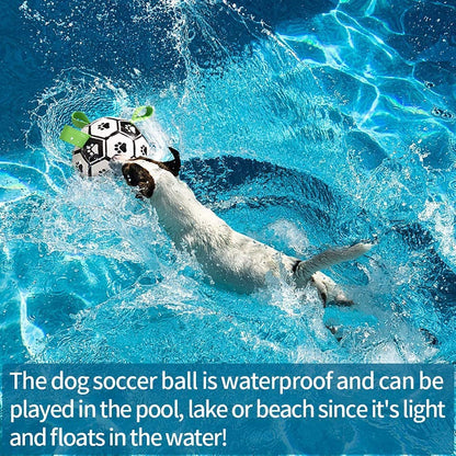 Interactive Dog Soccer Ball Toy – Inflatable Football for Dogs