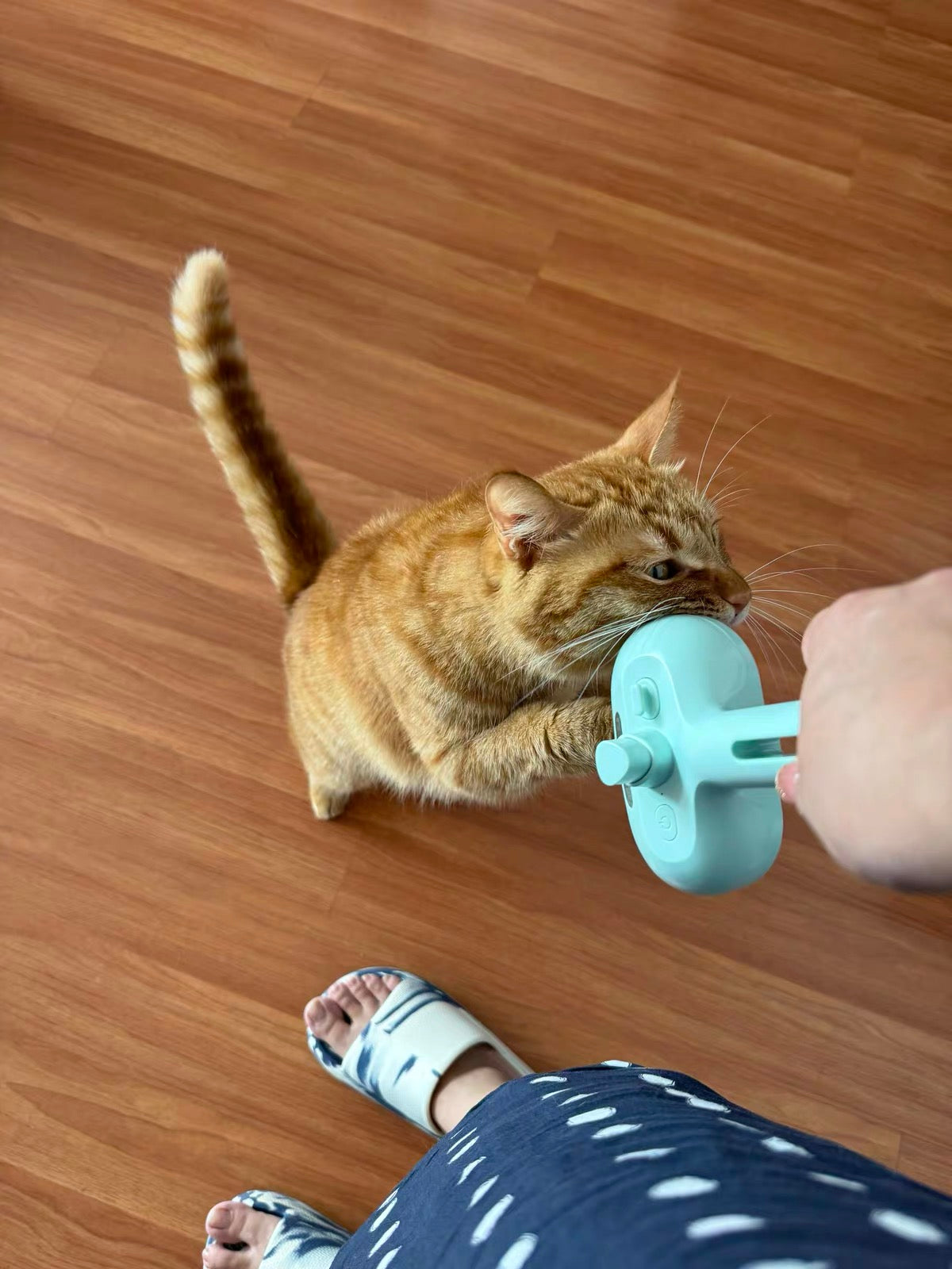 Pet Hair Spray Brush – 2-in-1 Grooming Brush with Water Sprayer