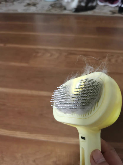 Pet Hair Spray Brush – 2-in-1 Grooming Brush with Water Sprayer