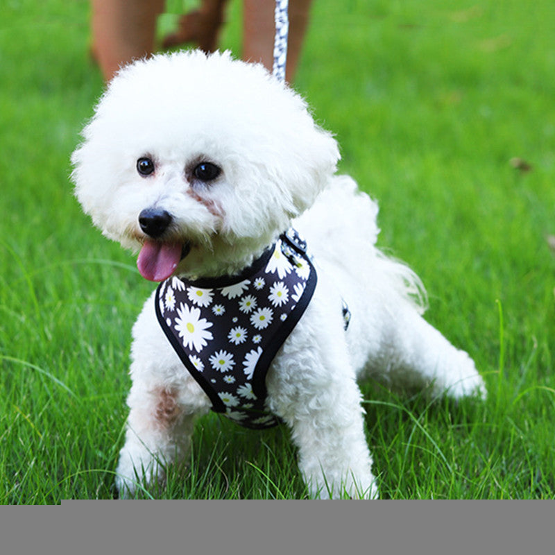Breathable Dog Harness and Leash Set for Pets