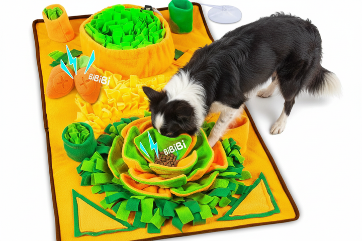 Border Collie Top Down