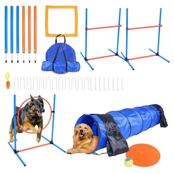 Dog Agility Training Equipment Set – 12-Piece Indoor &amp; Outdoor Obstacle Course Kit