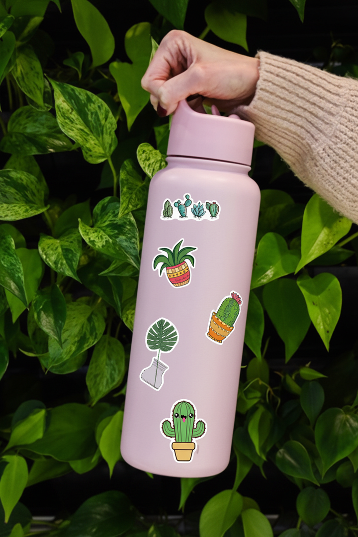 Cactus stickers on pink water bottle