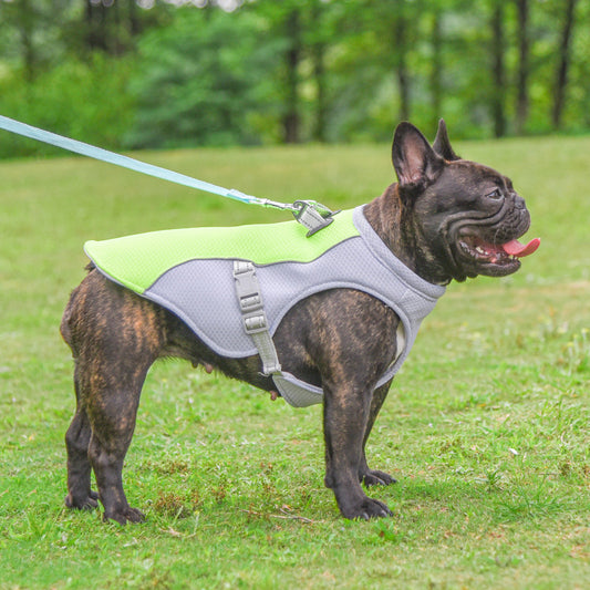 Dog Cooling Vest - Breathable Summer Heat Resistant Pet Clothing