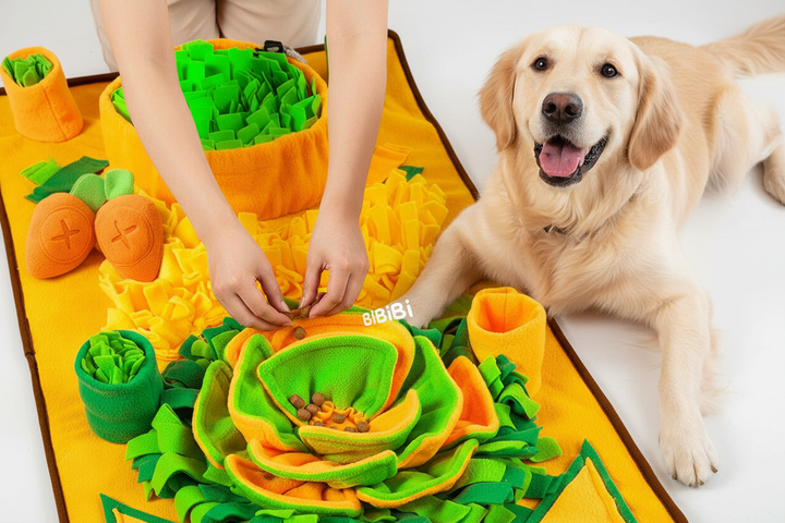 Owner Hiding Treats